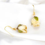 925 sterling gold-plated earrings with real roses - Ear925-127