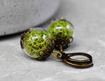 Real moss earrings- Green Iceland moss plants Earrings- VINOHR-17