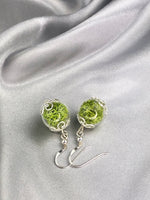 Real Moos Earrings-925 Sterling Silver Jewelry-Botanical Terrarium Earrings-OHR925-10