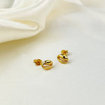Cowrie Shell Mini Ear Studs - 925 Sterling Gold Plated - OHR925-38